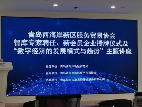 黃海學院創新創業學院 信息技術咨詢服務的實踐探索與育人價值
